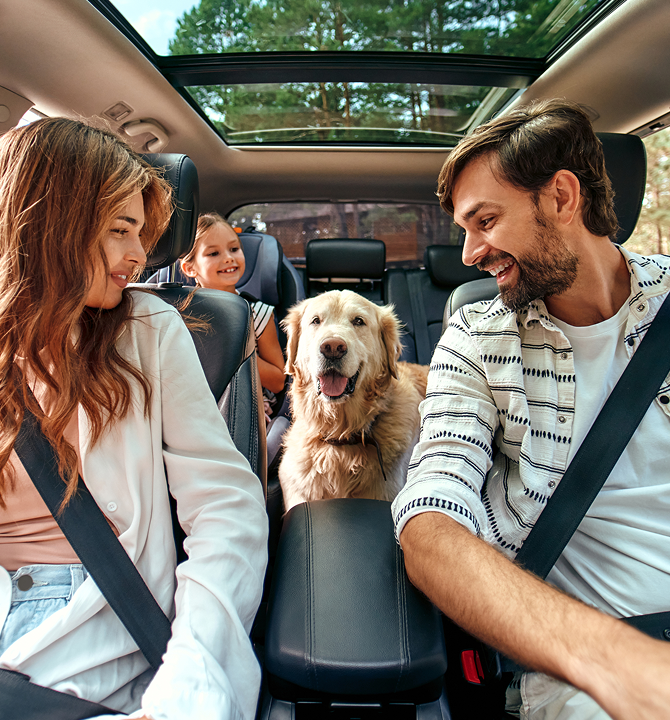 family inside car with dog